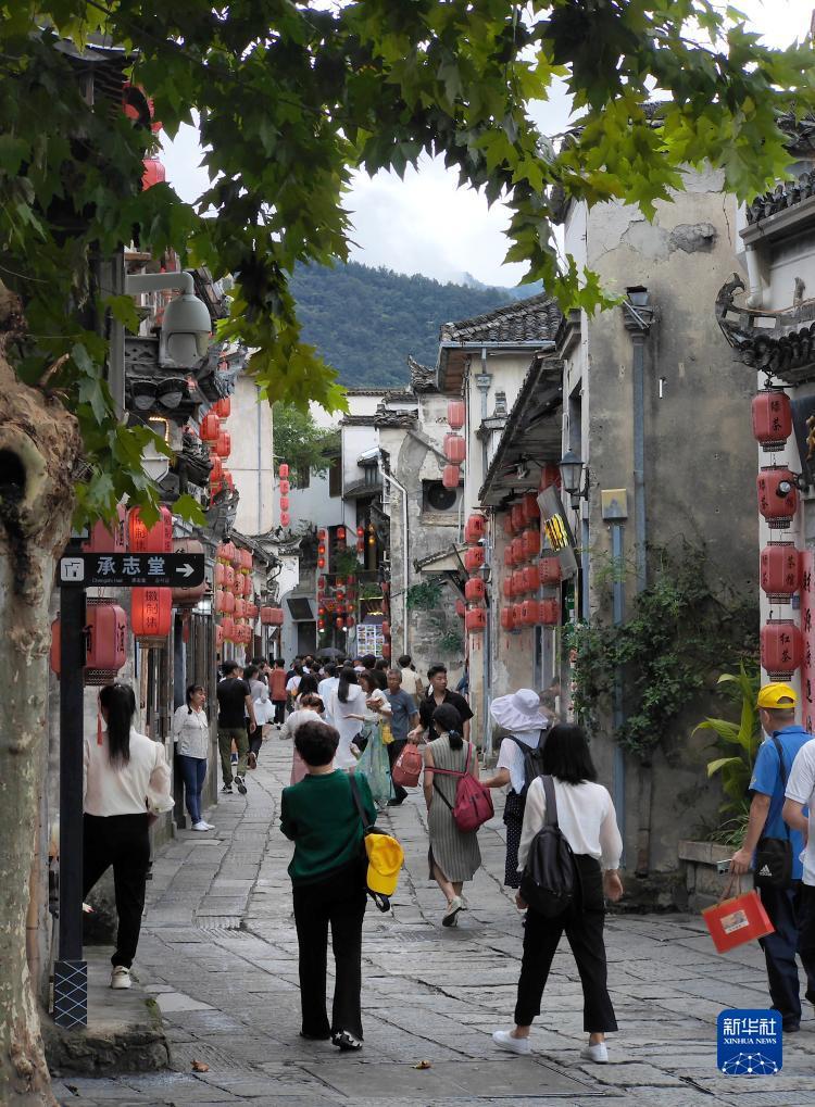 金鲨银鲨哪里有